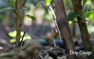 Proximity Designs Gravity-Fed Drip Irrigation Systems